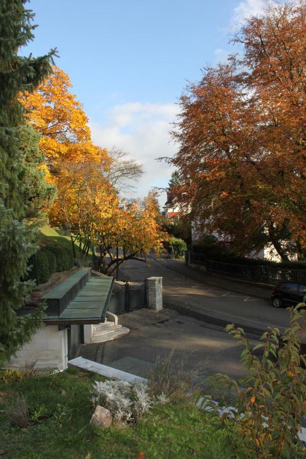 Schoenes Mit Gartenblick *
