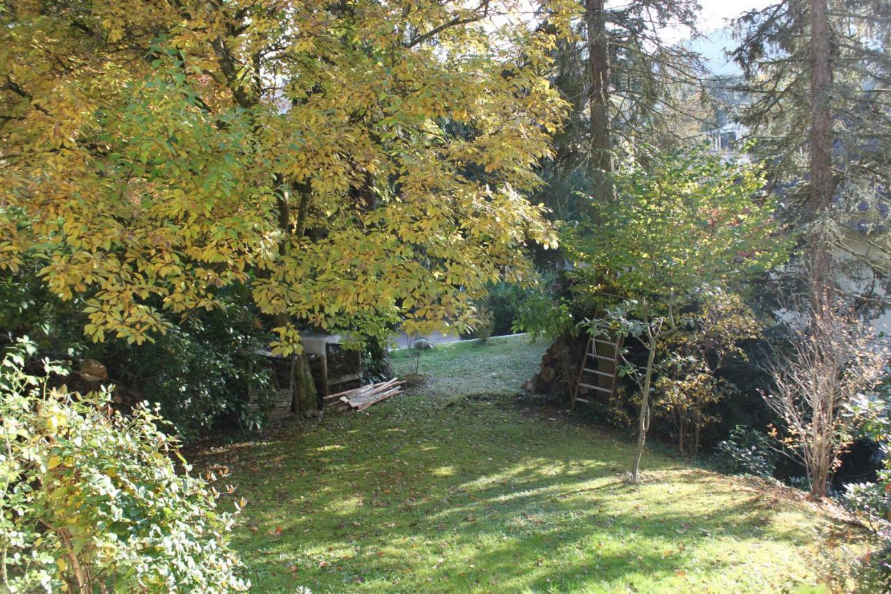 Apartment Schoenes Mit Gartenblick